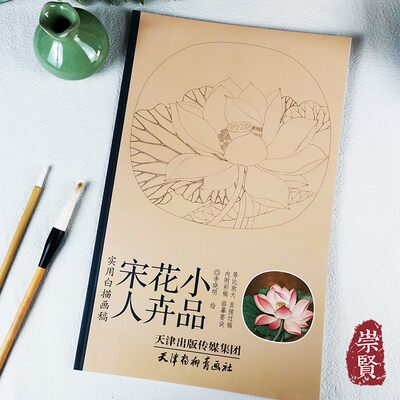 宋人花卉小品 实用白描画稿 内附彩稿等比放大白描线稿初学国画临摹范本附临摹要诀李晓明绘天津杨柳青画社