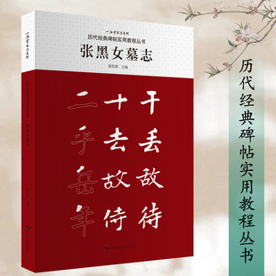 历代经典碑帖实用教程丛书 张黑女墓志 初学者书法入门基础笔画字形结构集字楷书毛笔书法集字临摹字帖范本 毛笔书法入门自学书籍