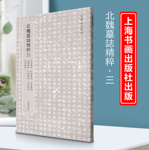 北朝墓志精粹三 北朝墓志精粹 元忠墓志·元进墓志·元苌墓志·元瓒墓志·元隐墓志·元渊墓志·元昂墓志 上海书画出版社