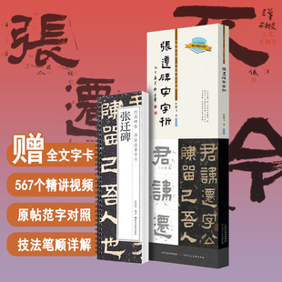 张迁碑字字析视频讲解隶书碑帖逐字精讲杜鹏飞法临摹软笔笔法解析书法教程原帖临写对照裸脊线装圣教序字字析系列天津人民美术出版