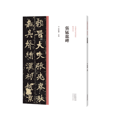 张猛龙碑中国历代经典碑帖楷书系列楷书毛笔字帖高清放大印刷初学者入门楷书毛笔字帖临摹范本陈振濂编河南美术