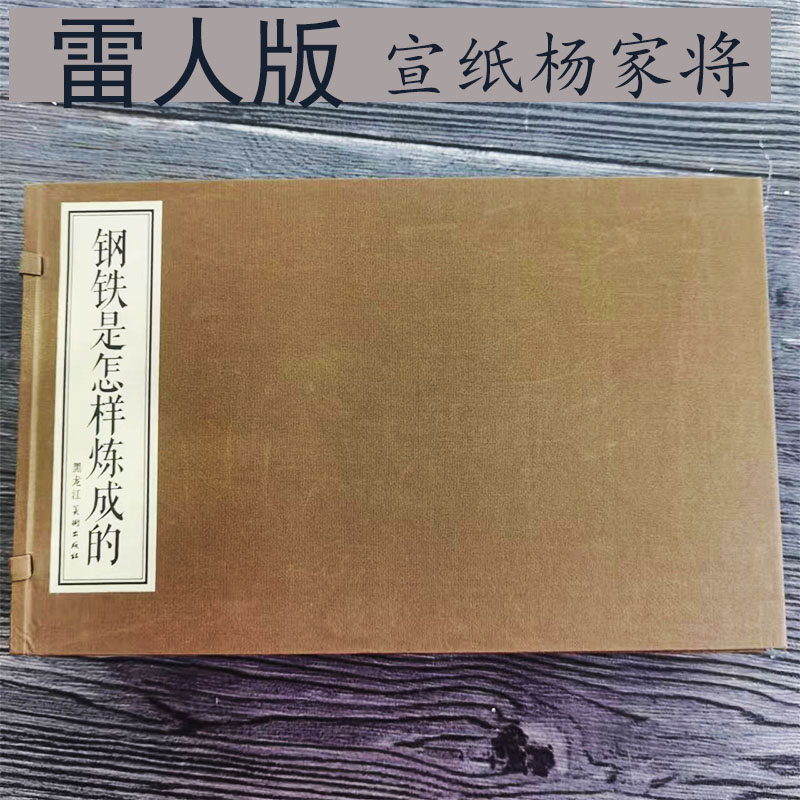 雷人出品黑美16开函装宣纸连环画钢铁是怎样炼成的上下册绘画毅进