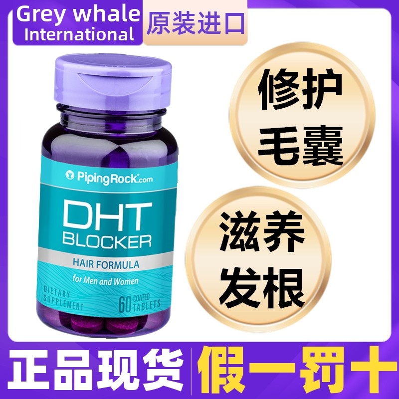 美国锯棕榈锯棕榈PipingRock