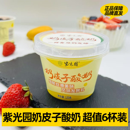 6盒北京紫光园小吃美食奶皮子酸奶网红美食老式酸奶顺丰包邮120g