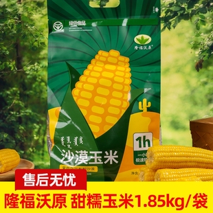 2025年当季内蒙古沃原玉米绿色家庭装乌兰布和沙漠甜糯玉米1.85kg