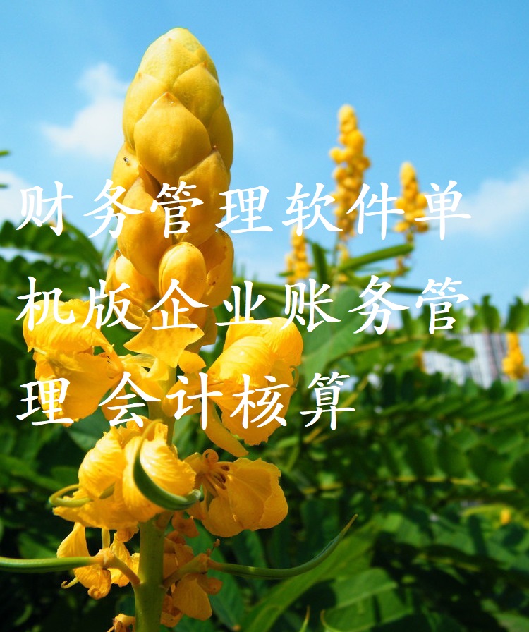 财务管理软件标准单机版 企业账务管理 会计核算+安装说明