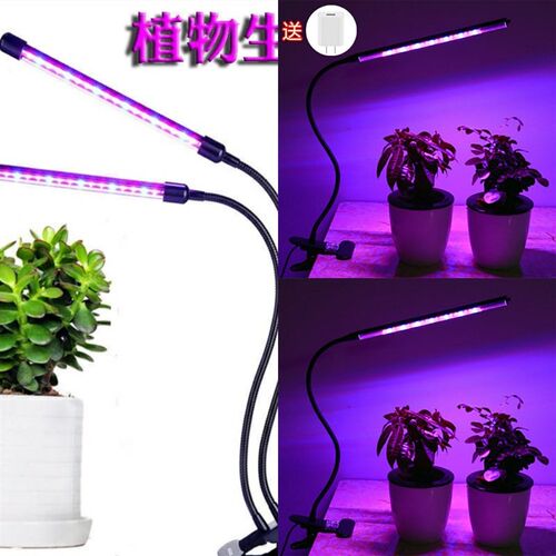 灯光照植物价格 多少钱