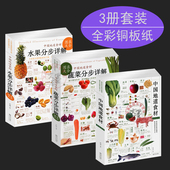 中国地道食材四季 套装 水果分步详解图录大全 蔬菜分步 养生食补食疗大全食疗养生书籍中医饮食营养学儿童孕妇饮食营养菜谱食谱 3册