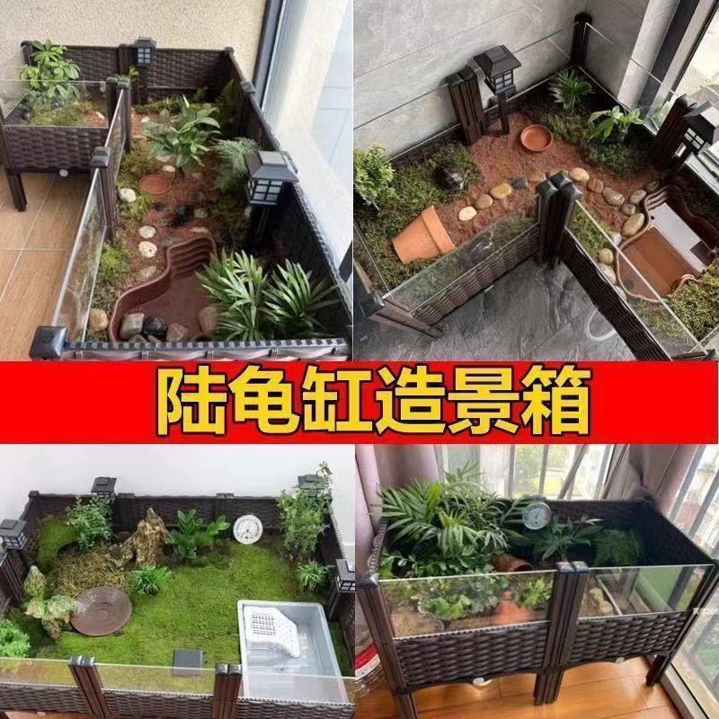 黄缘龟饲养箱造景植物生态专业缸