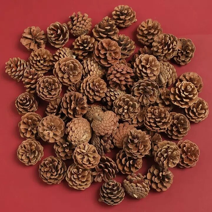 圣诞天然松果松塔 diy圣诞花环配件幼儿园手工材料圣诞节装饰品