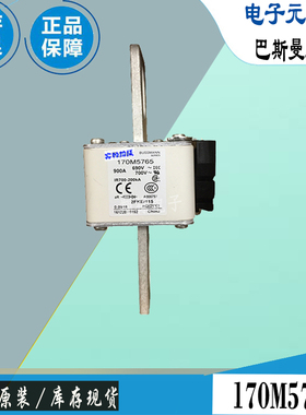 170M5742 170M5743 170M5744巴斯曼全新电子熔断器Bussmann保险丝