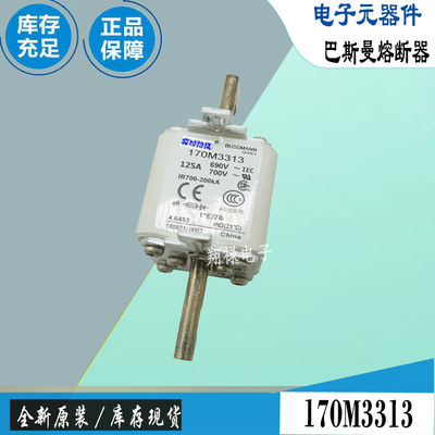 巴斯曼170M3313170M3314保险丝