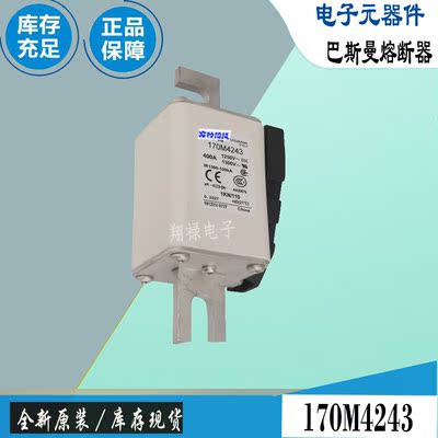 巴斯曼170M4242170M4243保险丝