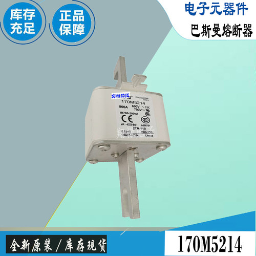 巴斯曼170M5216170M5217保险丝