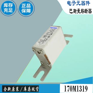170M1318 170M1320巴斯曼全新电子熔断器Bussmann保险丝 170M1319
