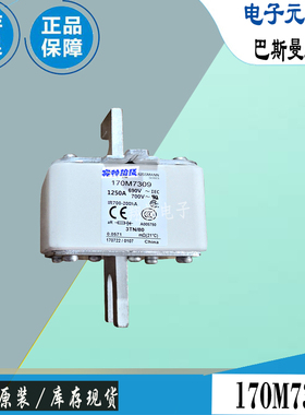 170M7123 170M7124 170M7125巴斯曼全新电子熔断器Bussmann保险丝
