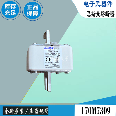 巴斯曼170M6571170M7118保险丝