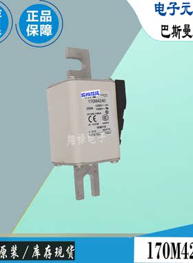 170M4239 170M4240 170M4241巴斯曼全新电子熔断器Bussmann保险丝