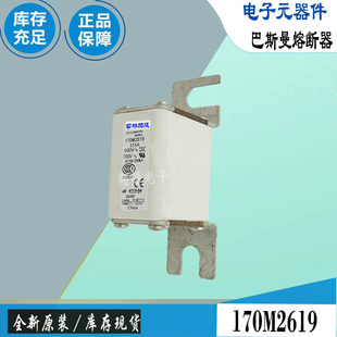 170M2618 170M2620巴斯曼全新电子熔断器Bussmann保险丝 170M2619