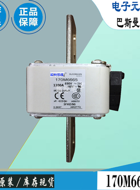 170M6664保险丝170M6665巴斯曼170M6666全新电子熔断器Bussmann