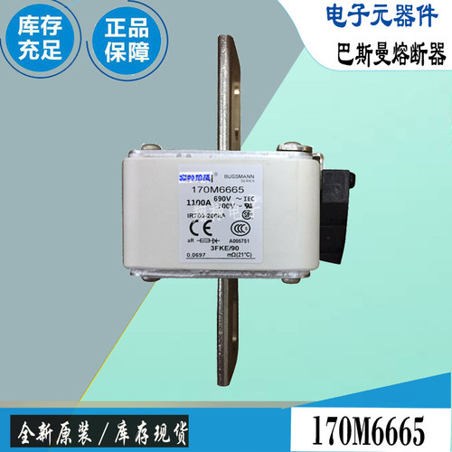 BUSSMANN170M6664熔断器