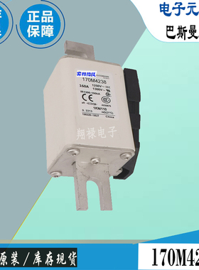 170M3223 170M4208 170M4209巴斯曼全新电子熔断器Bussmann保险丝