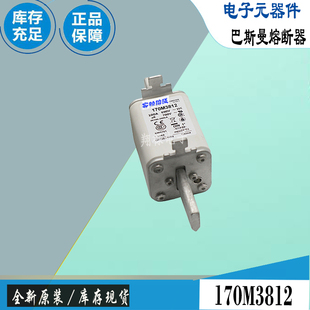 170M3810 170M3811 170M3812巴斯曼EATON熔断器Bussmann电子保险