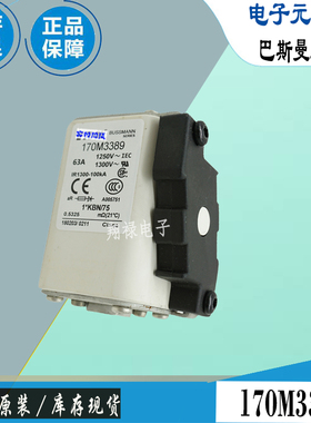 170M3388 170M3389 170M3390巴斯曼全新电子熔断器Bussmann保险丝