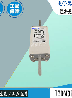 170M3167 170M3168 170M3169巴斯曼全新电子熔断器Bussmann保险丝