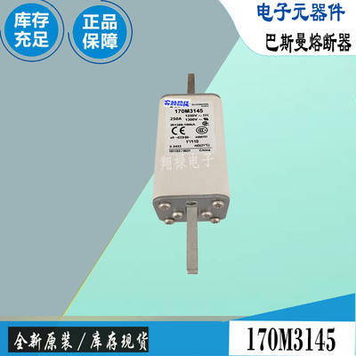 巴斯曼170M3161170M3162保险丝