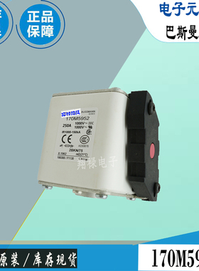 170M5928 170M5929 170M5930巴斯曼全新电子熔断器Bussmann保险丝
