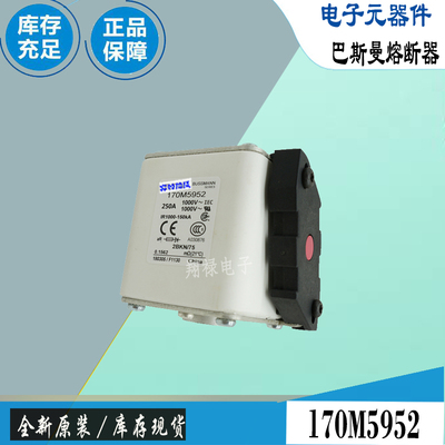 巴斯曼170M5928170M5929保险丝