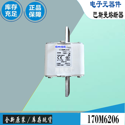 巴斯曼170M6202170M6204保险丝