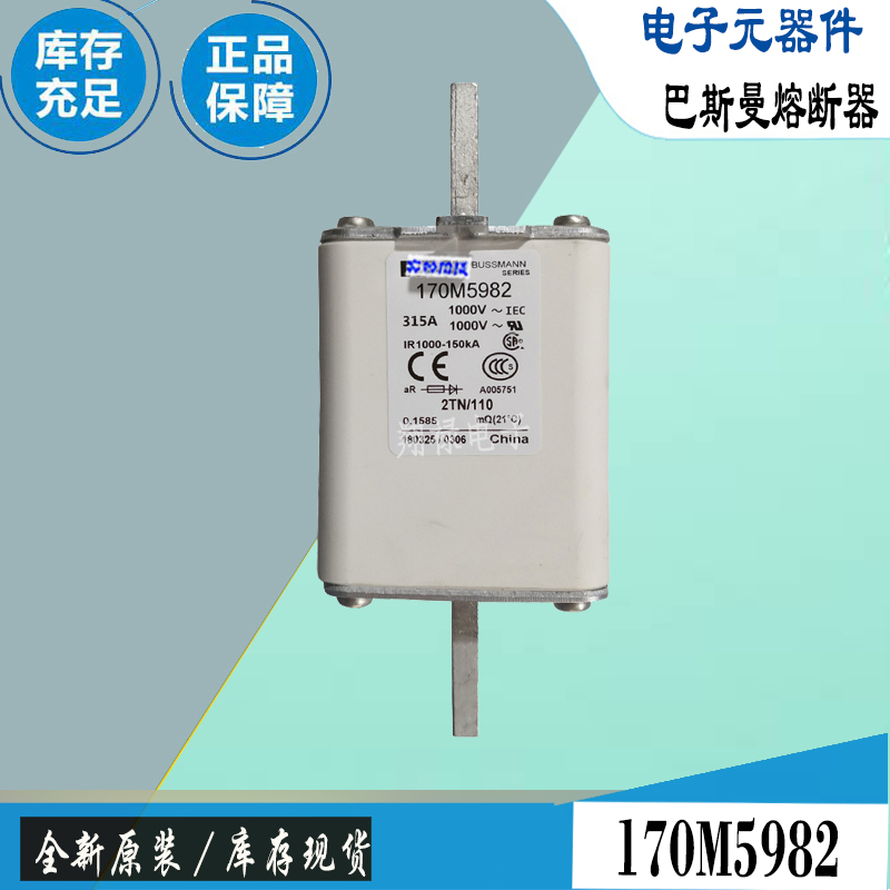 巴斯曼170M4989170M5981保险丝