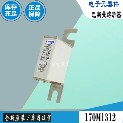 巴斯曼170M1312170M1313保险丝