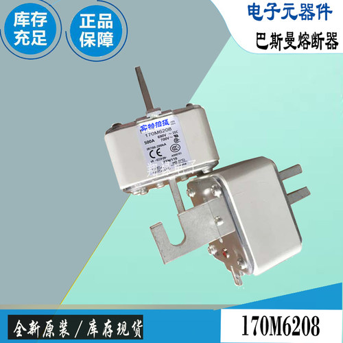 巴斯曼170M6208170M6209保险丝