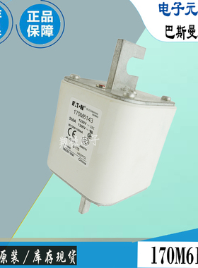170M6143 170M6144 170M6145巴斯曼全新电子熔断器Bussmann保险丝