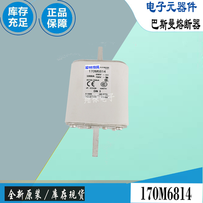 巴斯曼170M6812170M6813保险丝