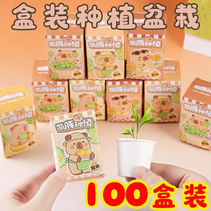 萌豚种植盲盒卡通创意幼儿园生日分享小礼物儿童学生奖励小礼品