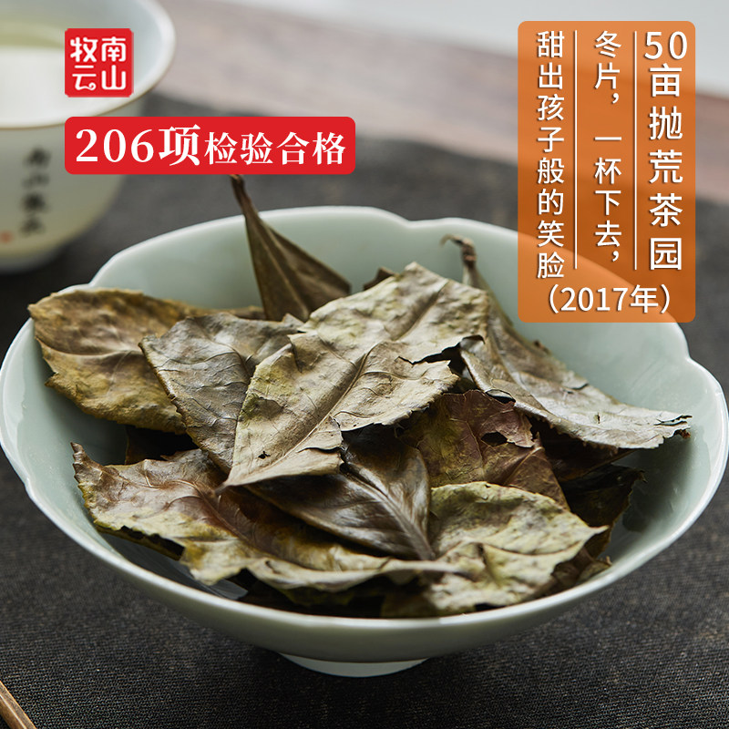 南山牧云大叶冬片茶福鼎老树寿眉老白茶枣香冰糖冬甜散茶叶礼盒装