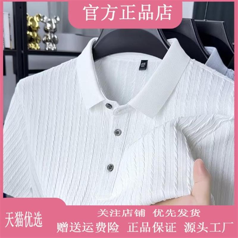 鹏然轻奢男装极简轻奢高级感夏男士商务透气老钱风翻领短袖Polo衫