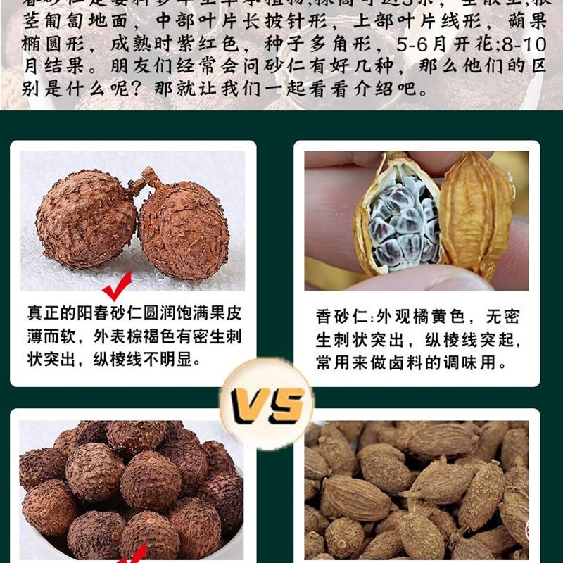 【甄选10d0克大果】正宗阳春春砂仁阳春特产野生春砂仁果陈皮煲汤