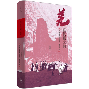 全本修订再版 羌在汉藏之间:川西羌族的历史人类学研究《华夏边缘》作者王明珂经典力作川西羌族全解民族史民族志写作范本世纪文景