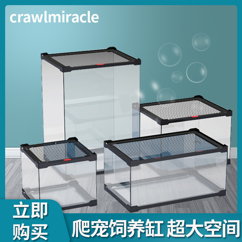 CM爬宠缸树栖睫角守宫玩具蛇专用
