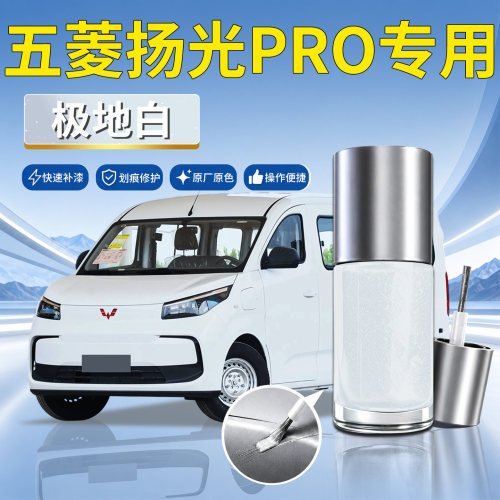 【五菱扬光PRO】汽车专用补漆笔
