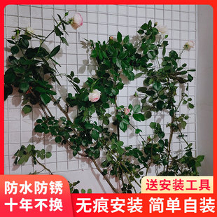 网格花架植物爬藤架月季铁线莲蝴蝶兰花墙面挂网攀爬网花盆展示架