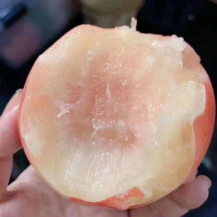 纯甜桃正宗无锡阳市水蜜桃礼盒装甜桃子新鲜水果现摘现发白凤湖景