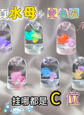 水母标本瓶闪闪发光许愿