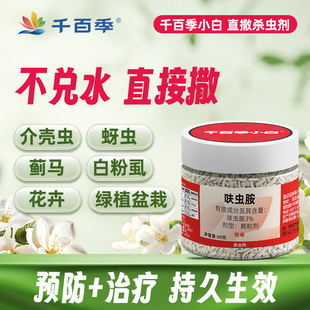 千百季 小白药领胜呋虫胺杀虫剂吡虫啉防虫药植物白粉虱介壳虫蓟马
