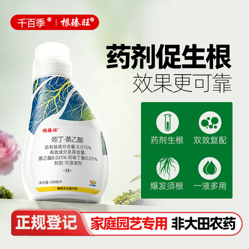 千百季根臻旺快速生根调节剂扦插移栽壮苗花卉绿植通用促生根